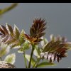 20140420_1108